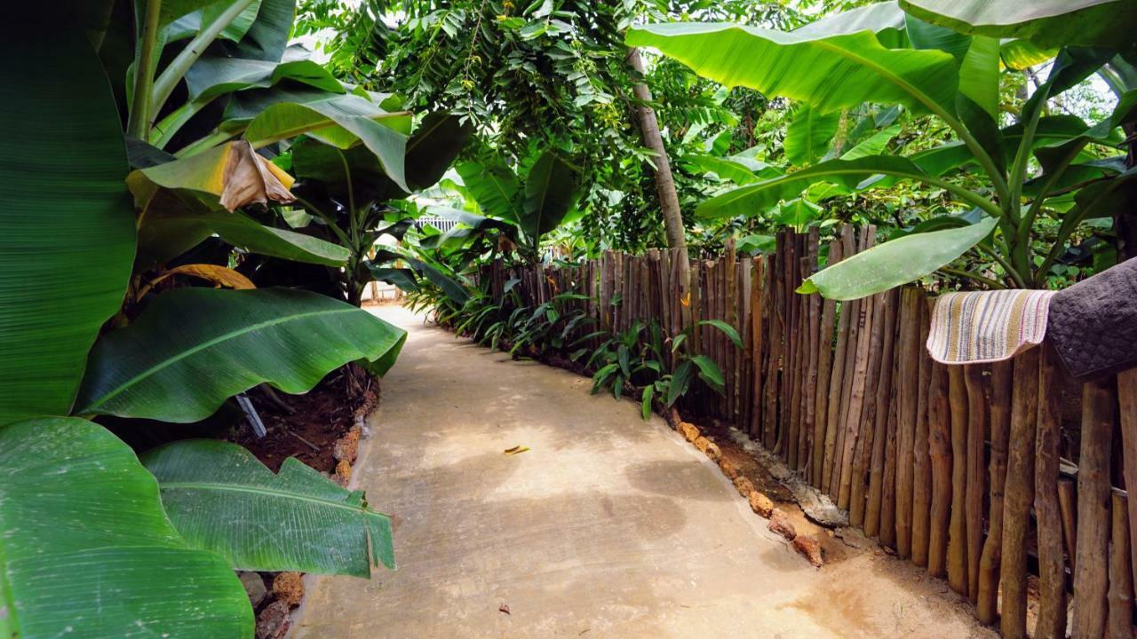 The Family Kingdom Resort Freetown Kültér fotó